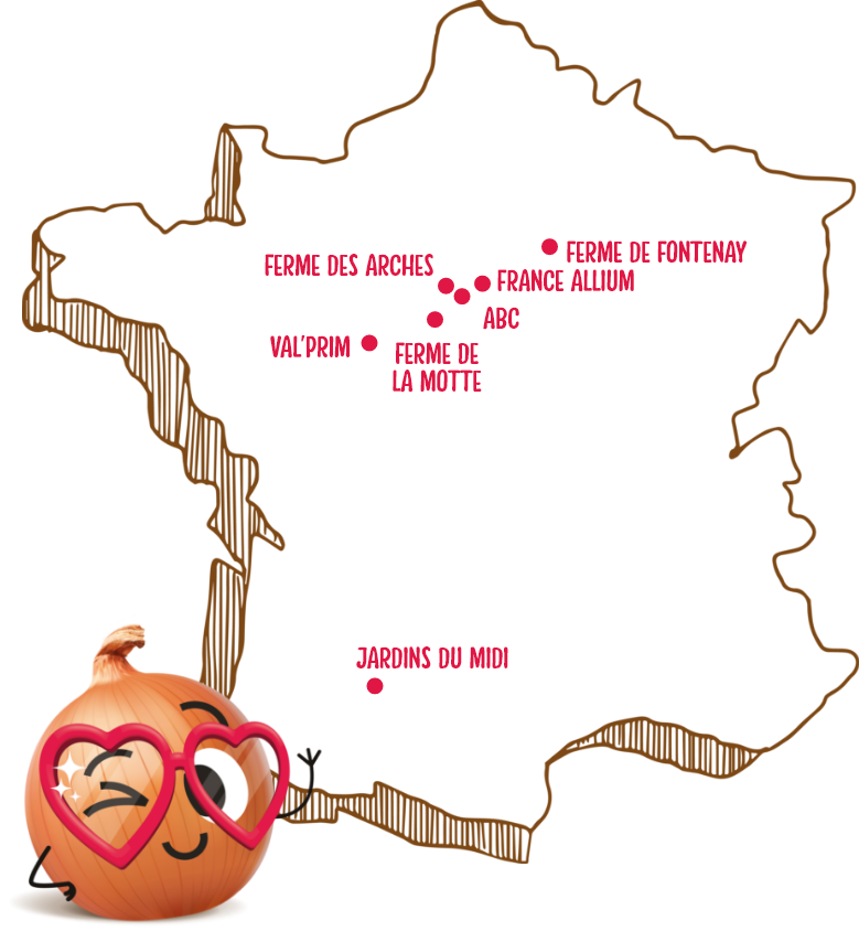 Producteurs d'oignons Orion en France Producteurs d'oignons Orion en France
